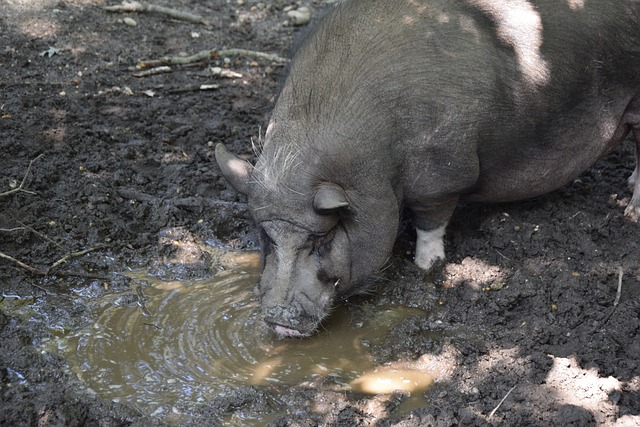 案例分析 案例分析