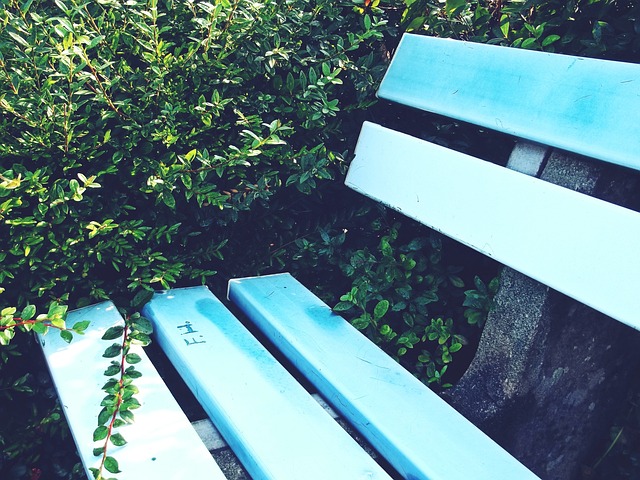 幸运的妈妈 幸运的妈妈