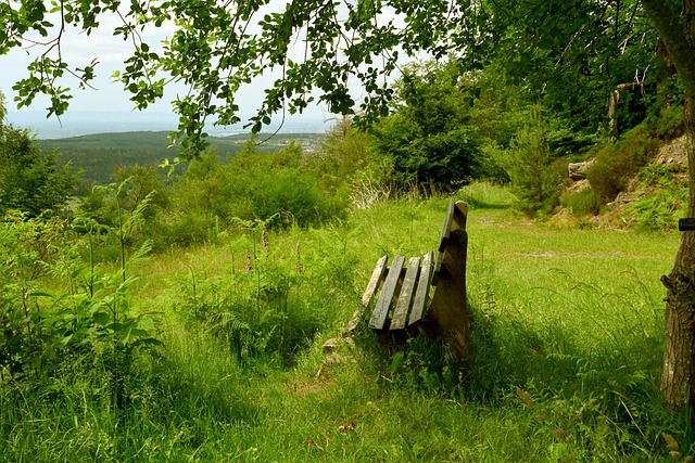 形成了一种 形成了一种