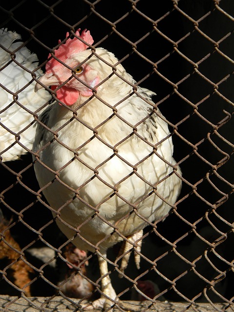 大地鼓舞了 大地鼓舞了
