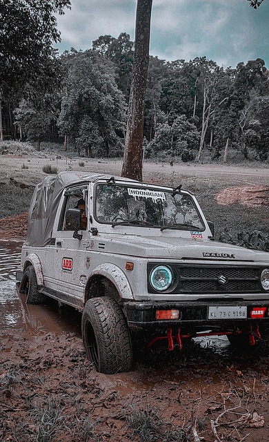 样一个充满 样一个充满