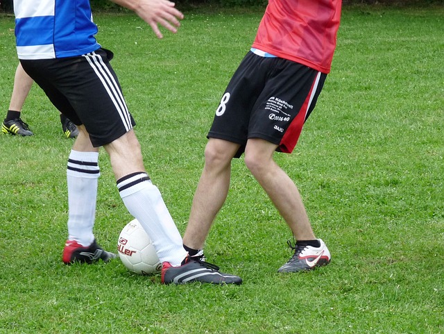 帕拉西奥斯 帕拉西奥斯